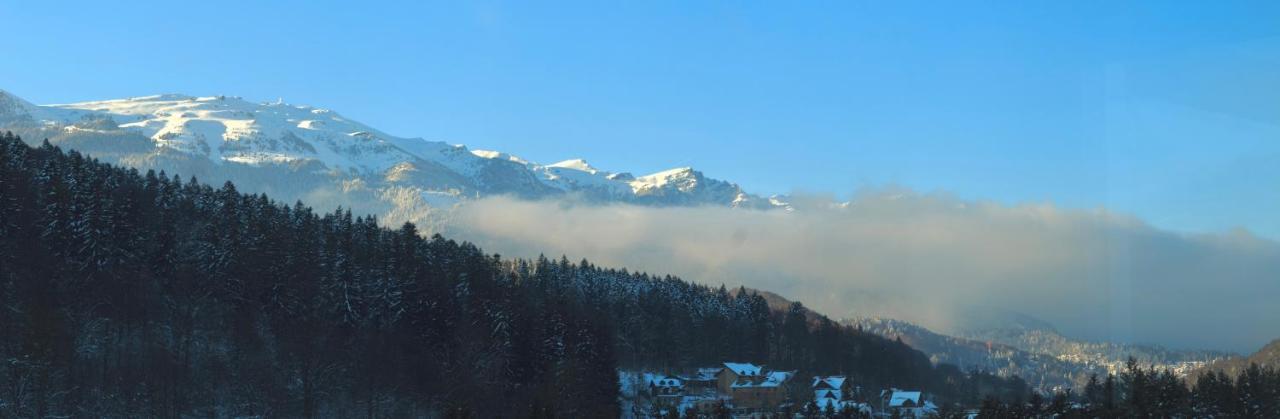 View Penthouse - Terrace - 2 Bathrooms - Free Parking * Sinaia