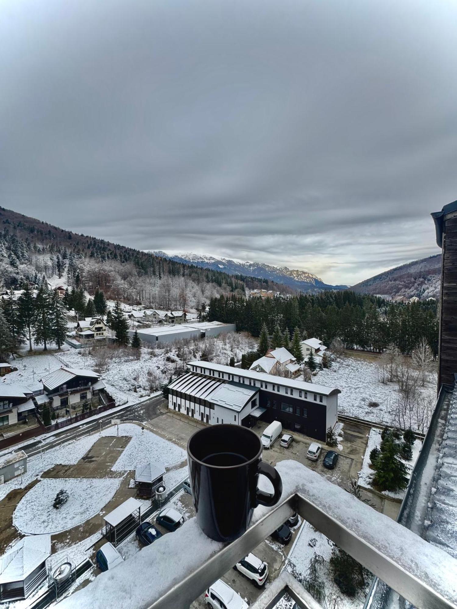 View Penthouse - Terrace - 2 Bathrooms - Free Parking Apartament Sinaia